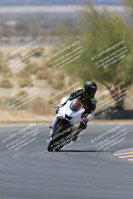 media/May-14-2023-SoCal Trackdays (Sun) [[024eb53b40]]/Turn 5 Tree of Life (1125am)/